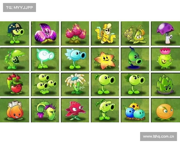 植物大战僵尸:全屏战斗,保卫家园 植物大战僵尸:全屏战斗,保卫家园